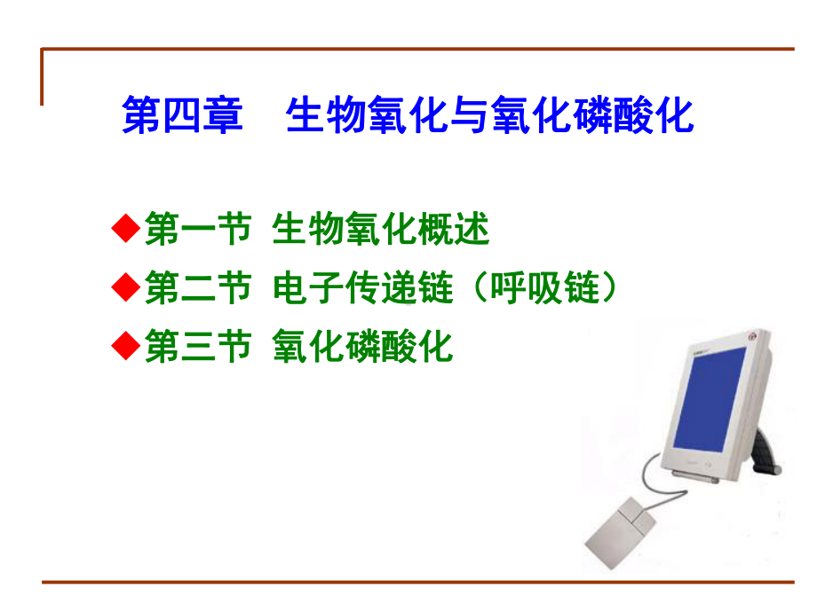 第4章+生物氧化课件.ppt_第2页