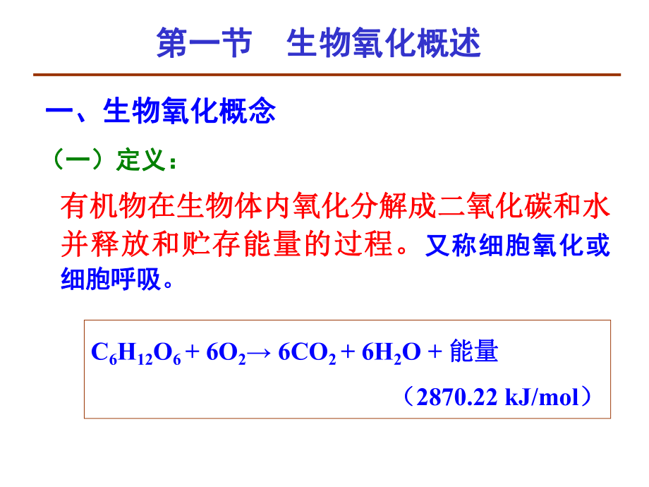 第4章+生物氧化课件.ppt_第3页