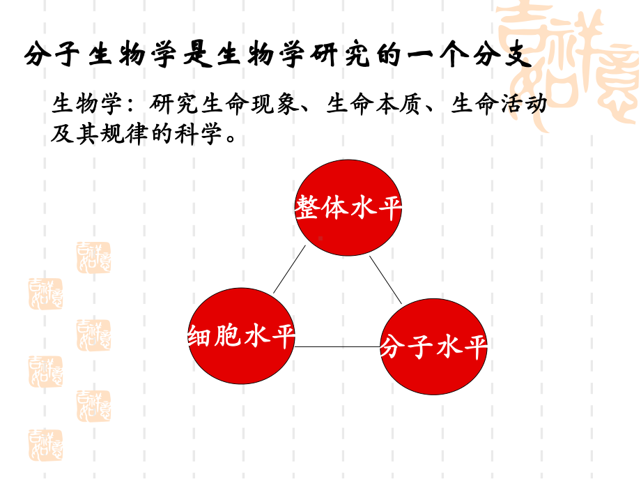 现代分子生物学第四版第一章绪论课件.ppt_第3页