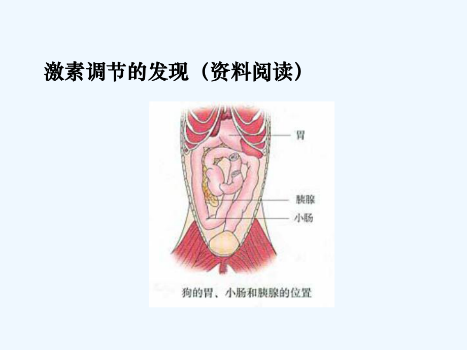 神经调节与激素调节的关系(ppt)课件.ppt_第3页