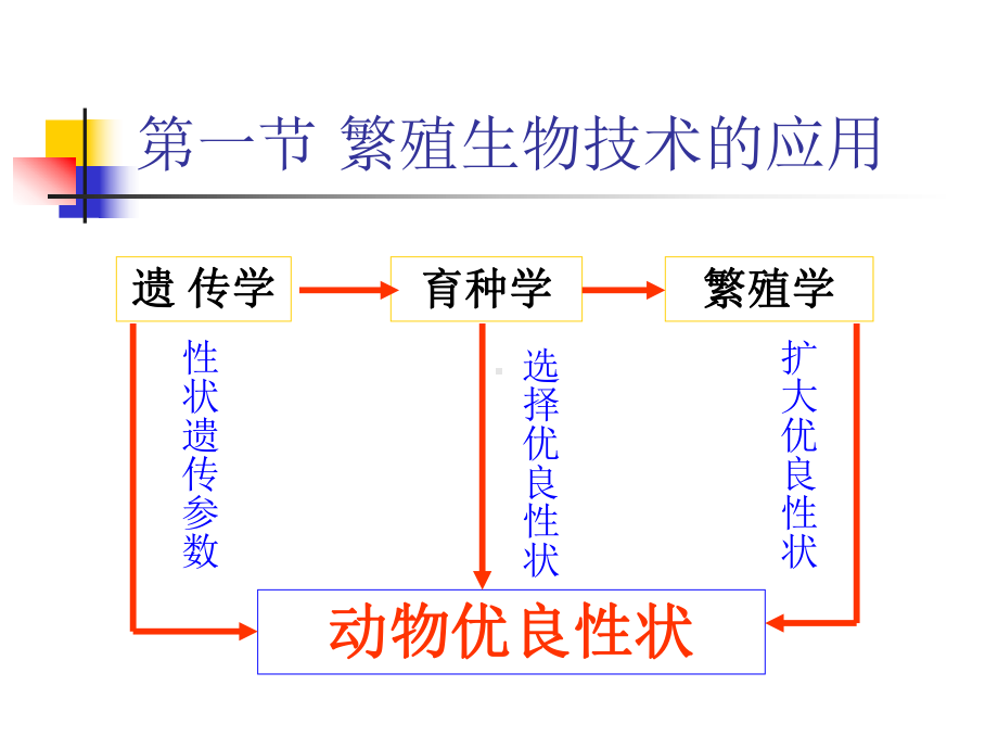 生物技术在家畜育种中的应用-PPT课件.ppt_第2页