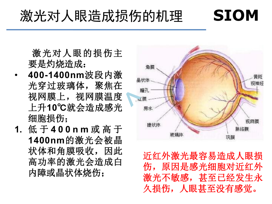 激光人眼安全课件.ppt_第2页