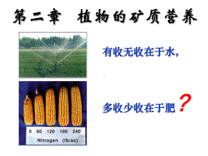 第二章-植物的矿质营养课件.ppt