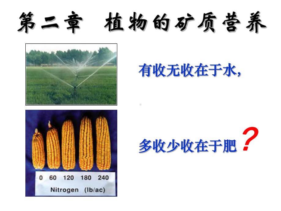 第二章-植物的矿质营养课件.ppt_第1页