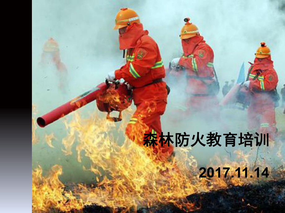 森林防火教育培训课件(PPT-41张).ppt_第1页