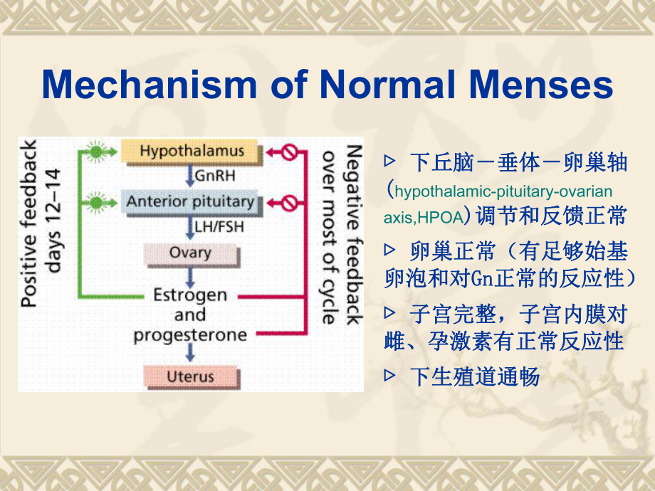 生殖内分泌相关疾病课件.ppt_第2页