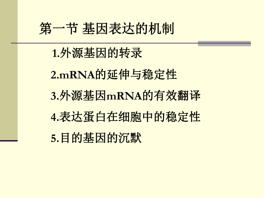 第八章外源基因的表达课件.ppt_第2页