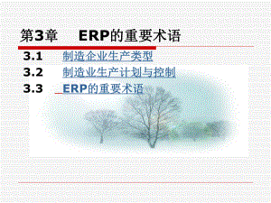 第三章ERP的重要术语48课件.ppt