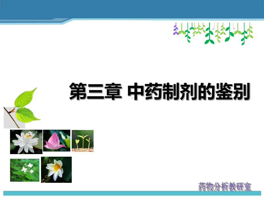 第二章中药制剂鉴别讲解课件.ppt_第1页