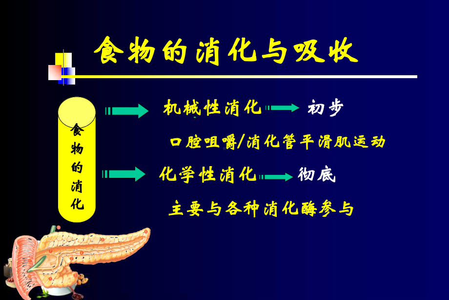 消化酶相关性消化不良与治疗ppt课件.ppt_第3页