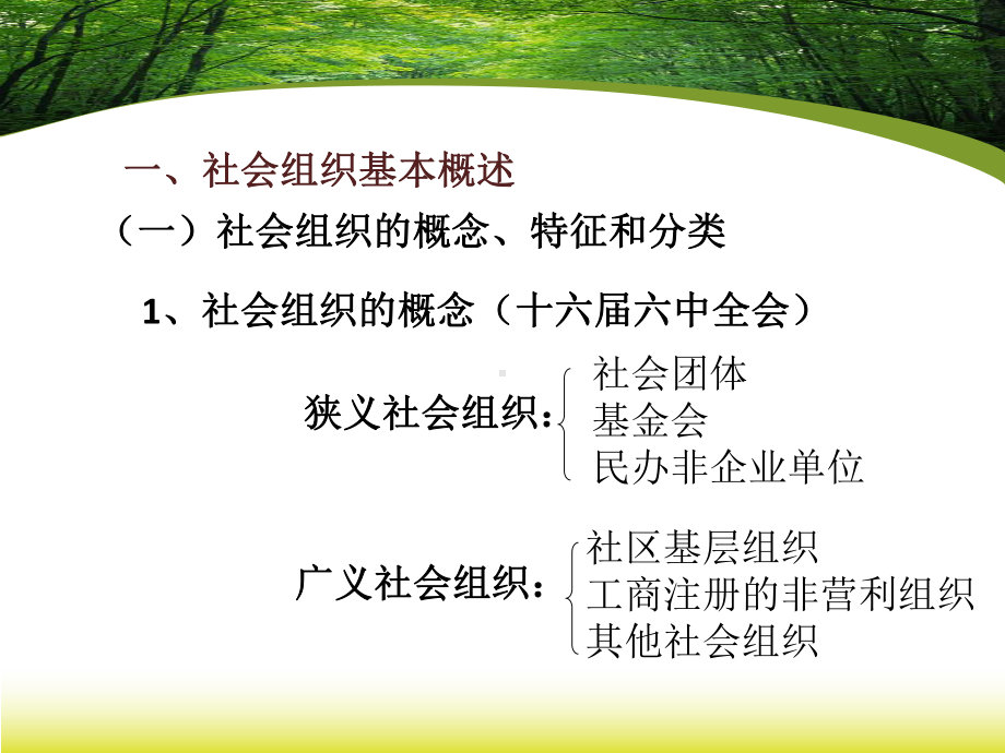 社会组织政策解读-衢州民政局课件.ppt_第3页