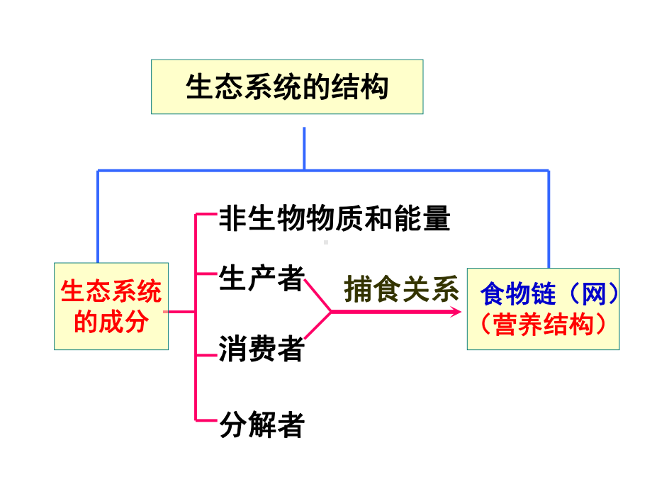 生态系统的能量流动课件.ppt_第1页