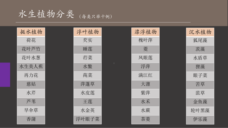 水生植物分类课件.ppt_第2页