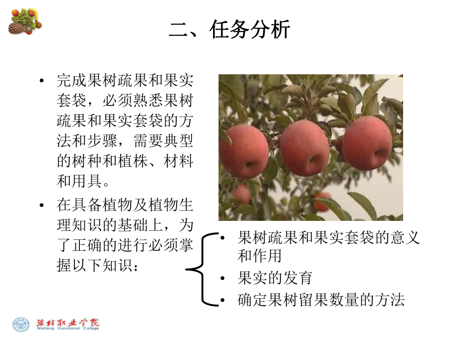 果树疏果和果实套袋课件.ppt_第3页