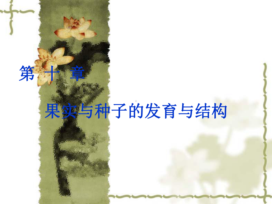 植物学-果实与种子的发育与结构-共40页课件.ppt_第1页