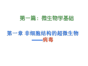 环境微生物学第1章-病毒0课件1.ppt