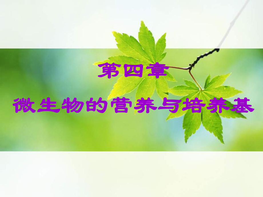 第四章-微生物的营养与培养基课件.ppt_第1页