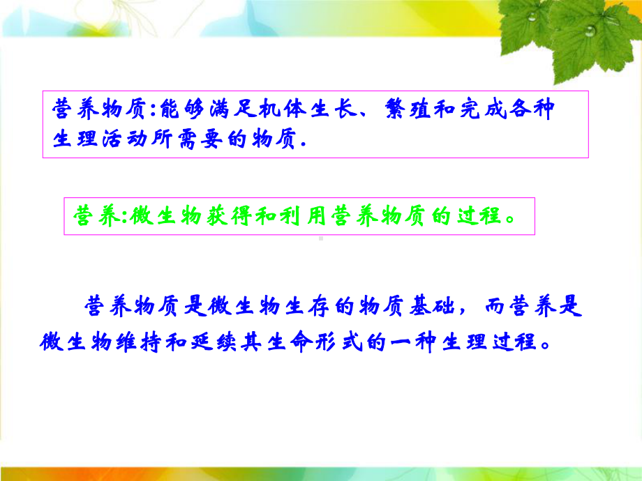 第四章-微生物的营养与培养基课件.ppt_第2页