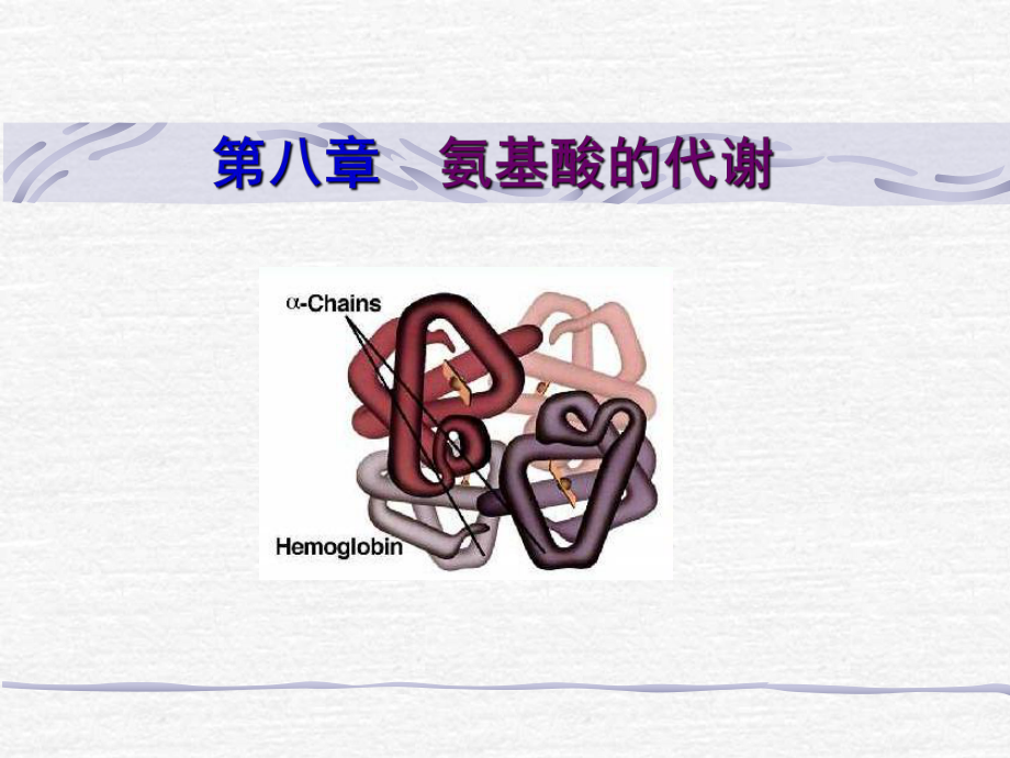 第八章含氮化合物代谢课件.ppt_第1页