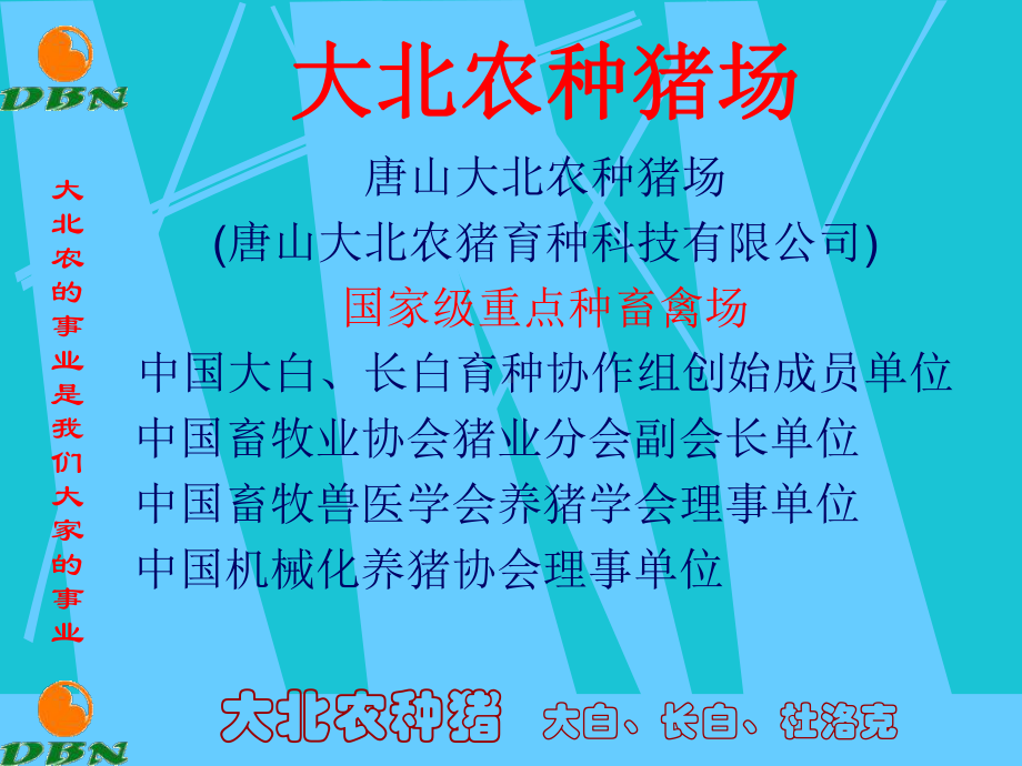 现代集约化猪场预防保健用药方案.ppt_第3页