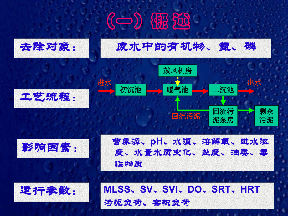 活性污泥在反应池课件.ppt_第3页