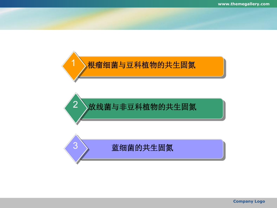 第四章森林环境微生物课件23.ppt_第3页