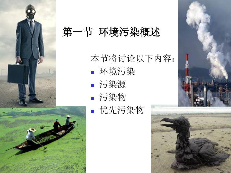 第1章-污染物在生态系统中的行为课件.ppt_第2页