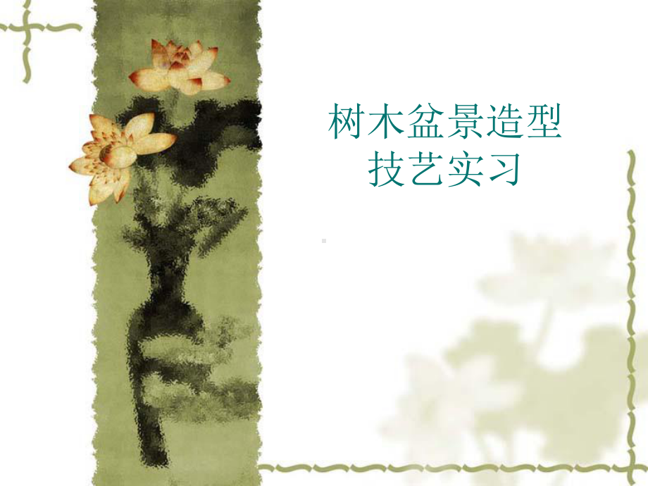 直干式盆景制作课件.ppt_第1页