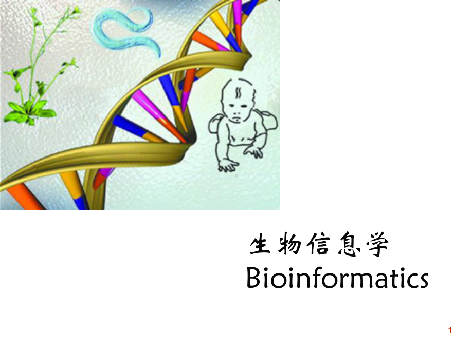 生物信息学资源课件1.ppt_第1页