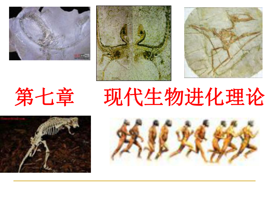 现代生物进化理论ppt14-优秀课件.ppt_第1页