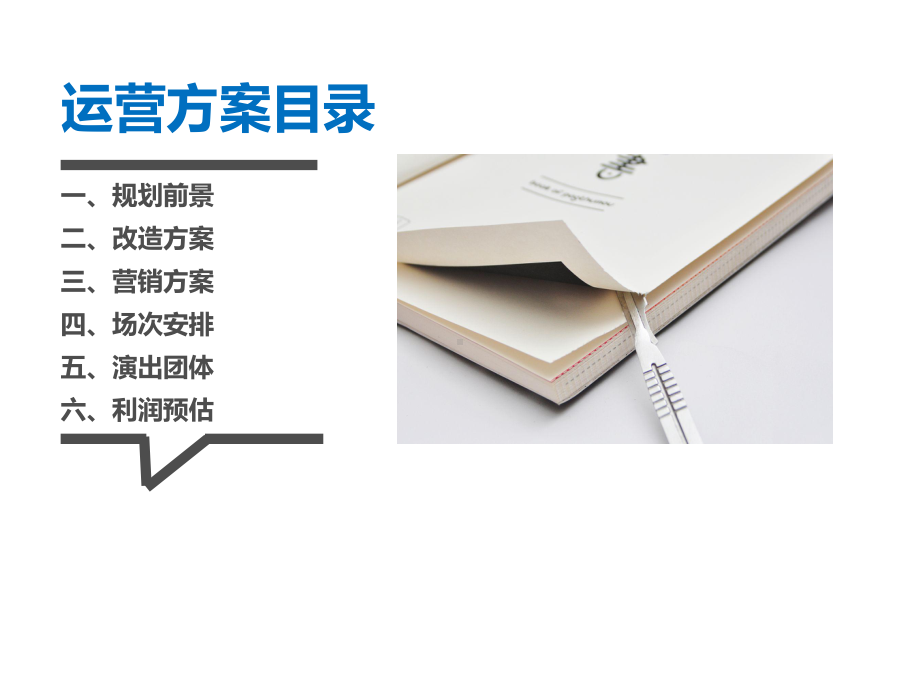 某戏院运营方案(PPT-51张).ppt_第2页