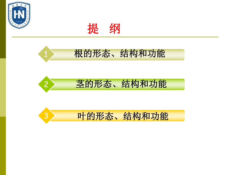 第三章被子植物营养器官0课件1.ppt_第2页