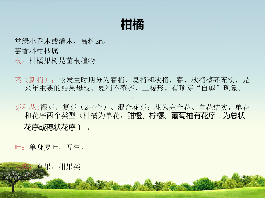 浙江省常见果树识别课件.ppt_第3页