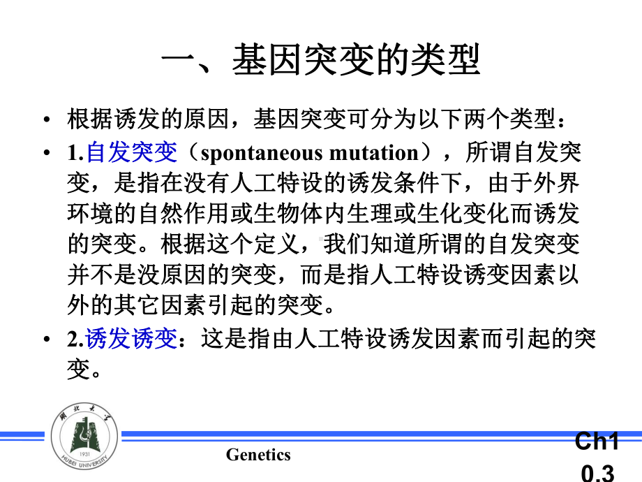 果蝇突变的检出课件.ppt_第3页