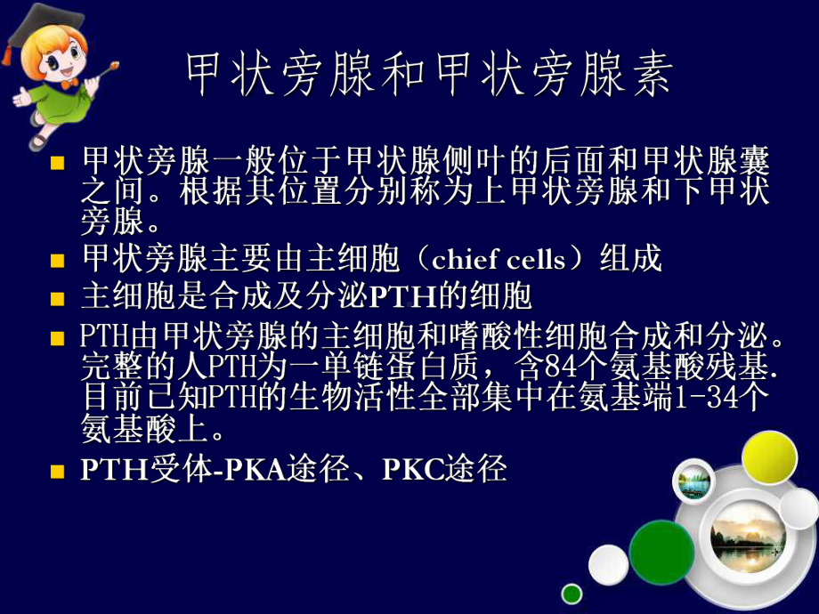 甲状旁腺功能亢进症手术治疗ppt课件.ppt_第3页