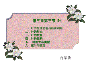 植物学第三章第三节叶-课件(2).ppt