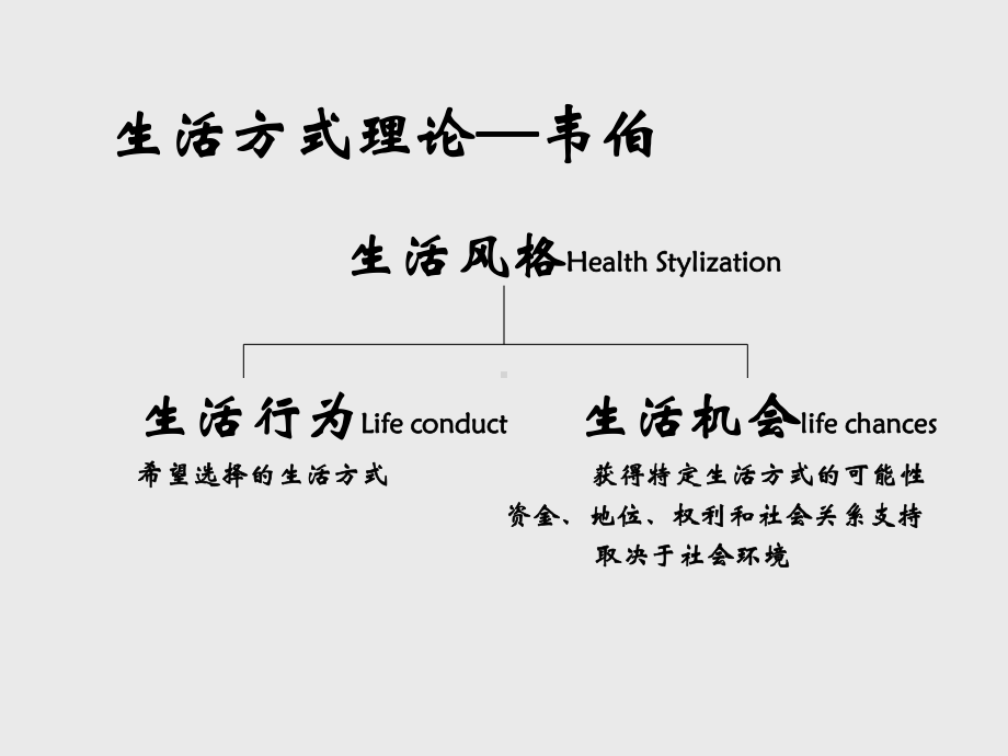 理论与社会科学的研究-PPT课件.ppt_第3页