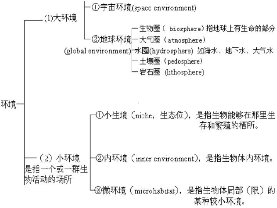 植物生态学第二章-生物和环境-精品课件.ppt_第3页