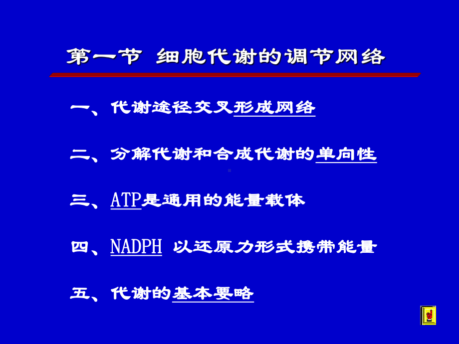 第28章物质代谢的联系及其调节课件.ppt_第2页