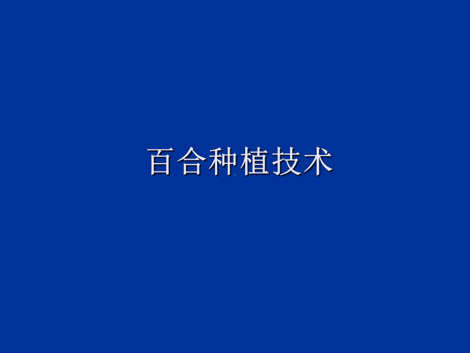 百合栽培-PPT课件.ppt_第1页