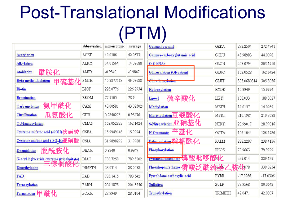 磷酸化蛋白质课件.ppt_第2页