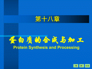 生物化学与分子生物学八年制课件9.ppt