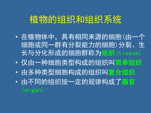 植物的组织和组织系统课件.ppt