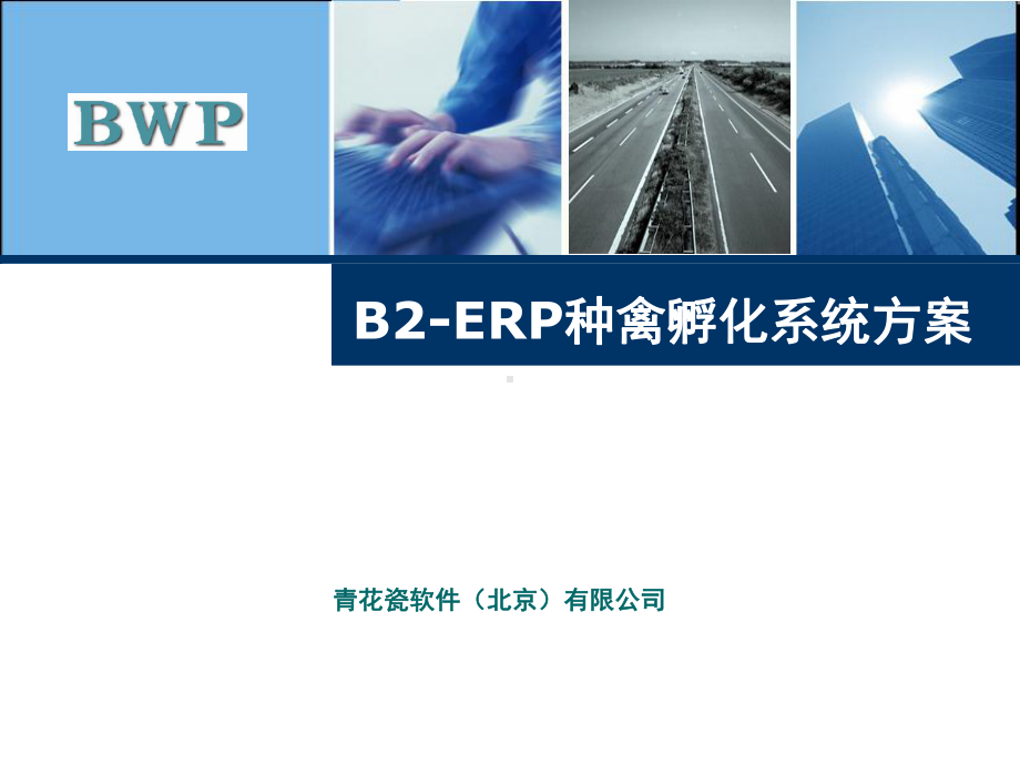 种禽孵化系统课件.ppt_第1页