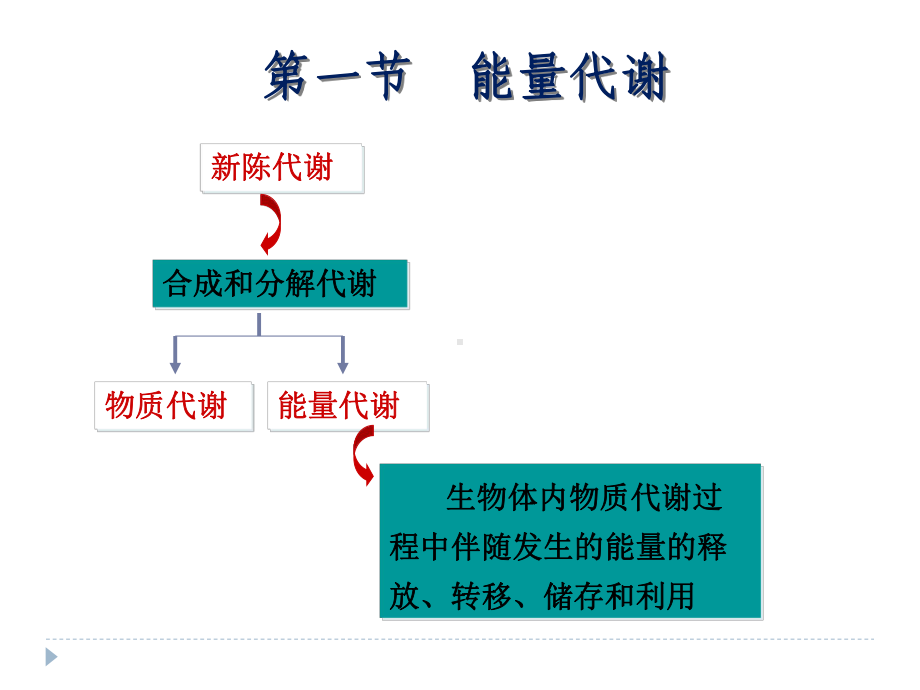 生理学ppt-课件第七章-能量代谢和体温.ppt_第3页