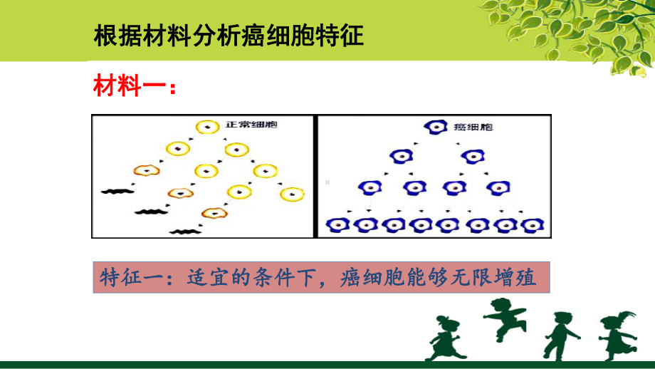 第五章细胞增殖、分化衰老和凋亡课件.ppt_第3页