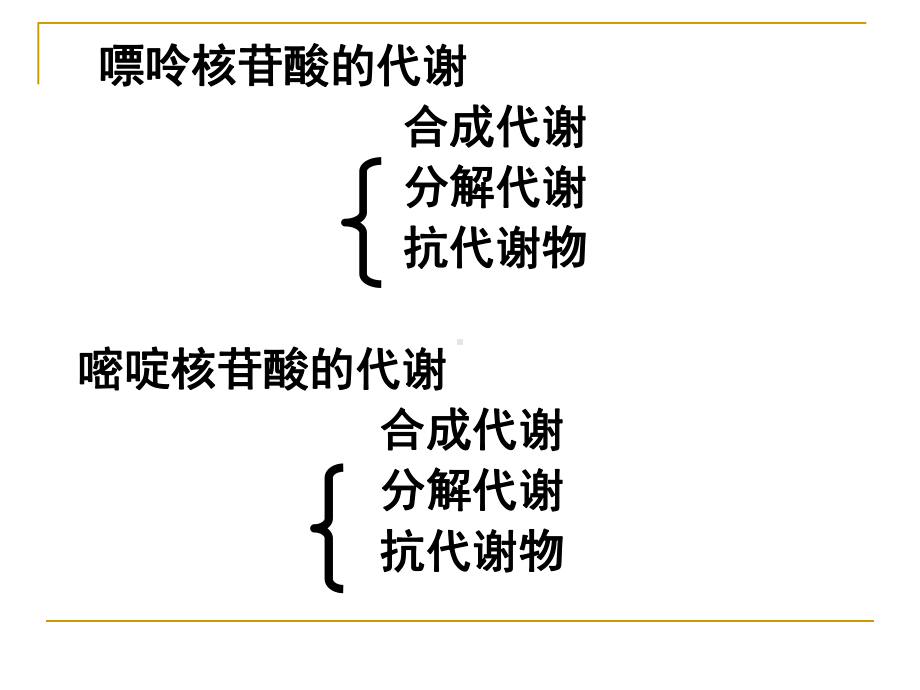 生物化学核苷酸代谢PPT课件.ppt_第2页