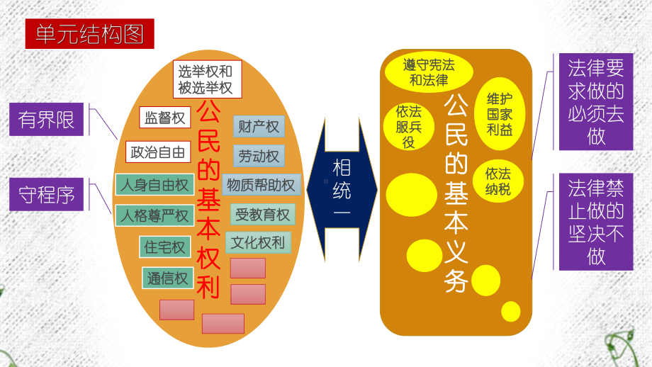 第二单元理解权利义务复习课件.ppt_第2页