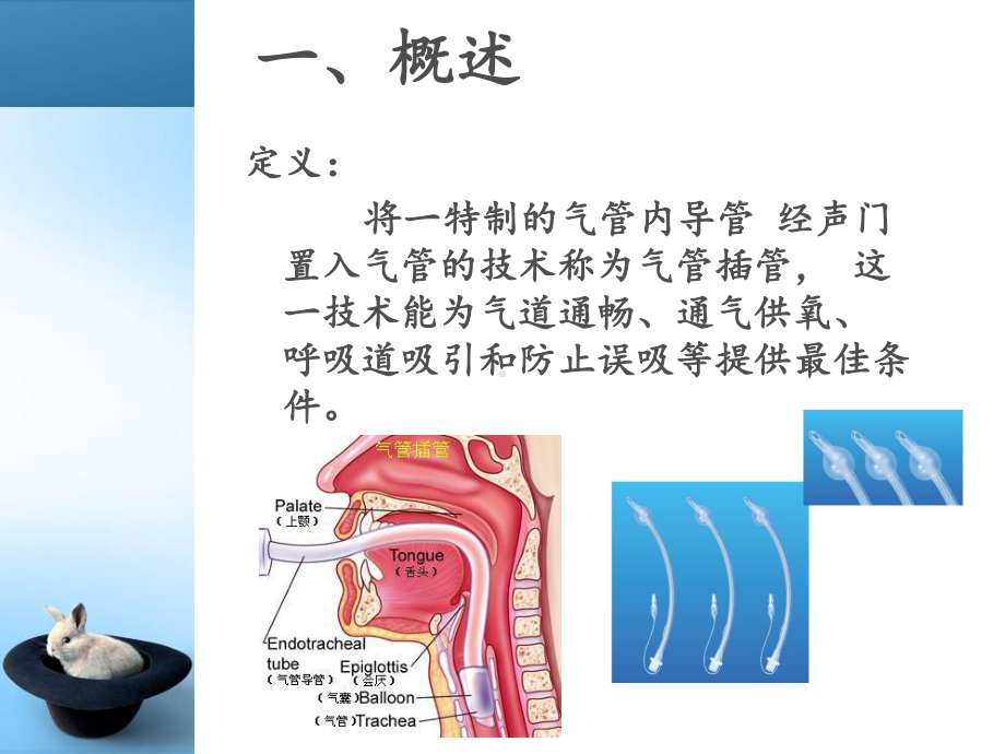 气管插内吸痰-PPT课件.ppt_第3页