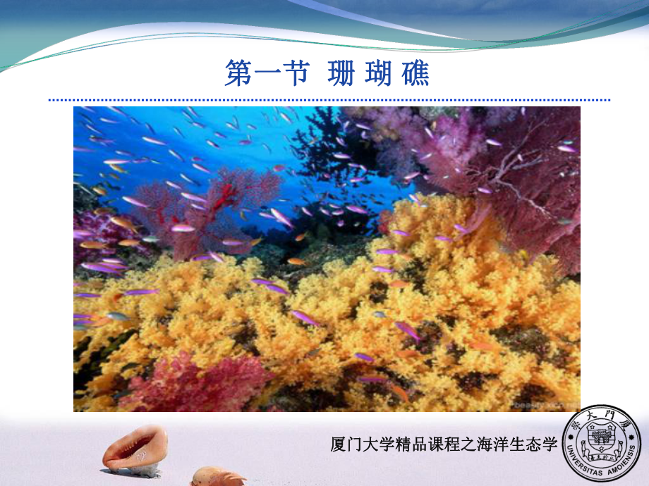 海岸带与浅海生态系统课件.ppt_第2页